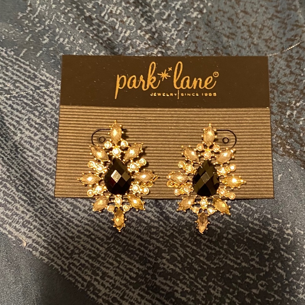 Park lane earrings